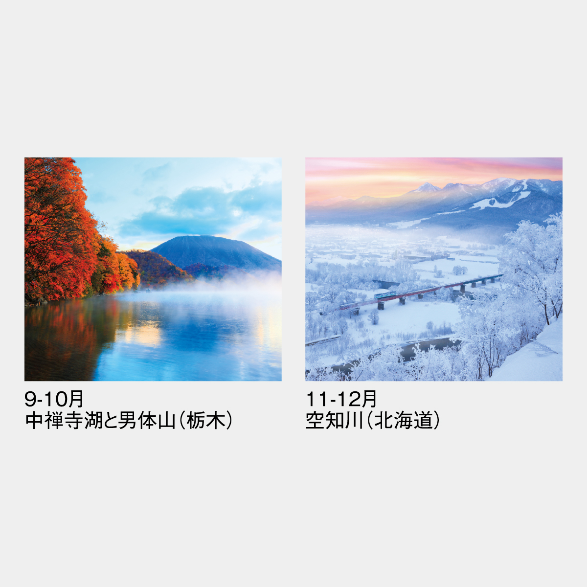 SG-403 四季六彩(大)