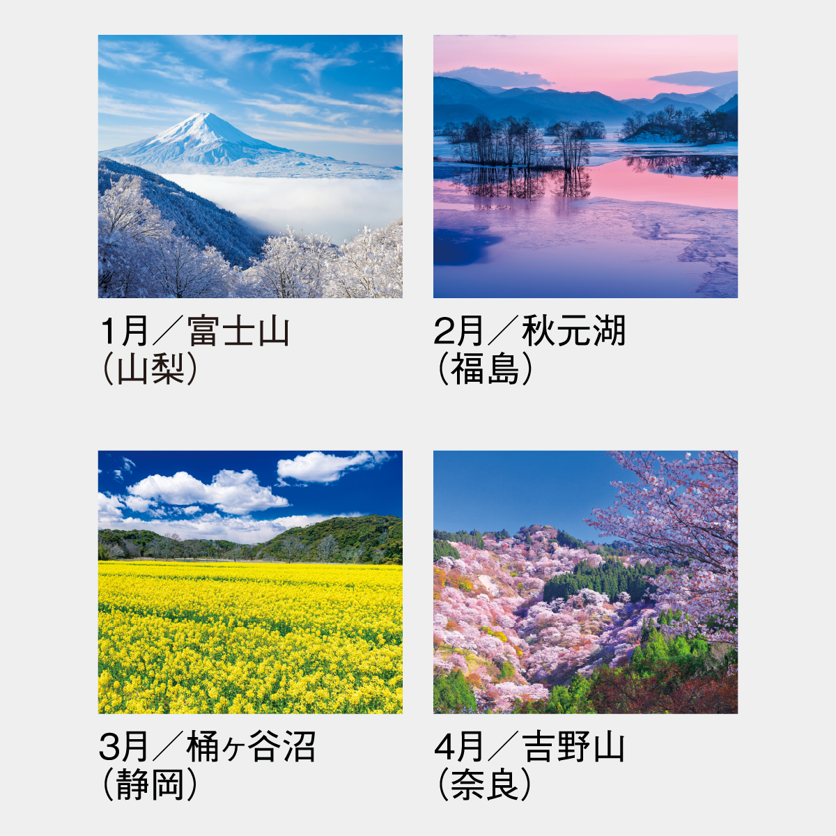 SG-454 美しき日本