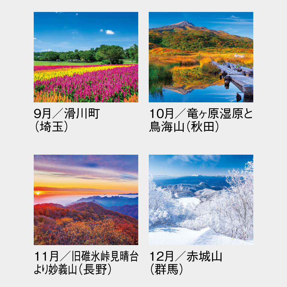 SG-454 美しき日本