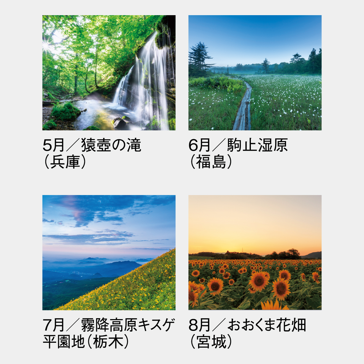 SG-456 四季十二彩