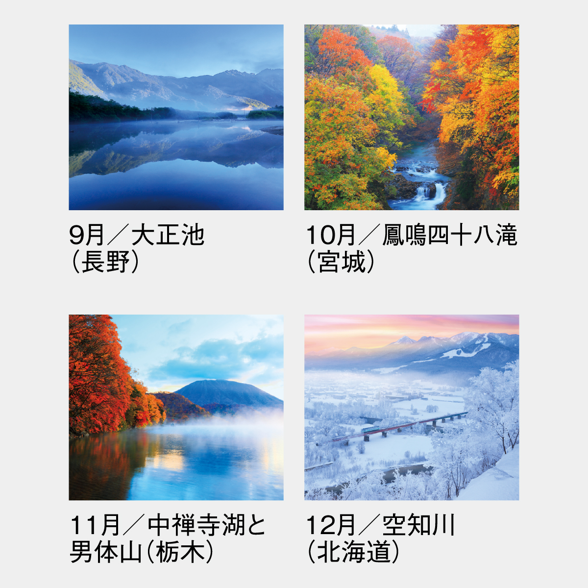 SG-456 四季十二彩