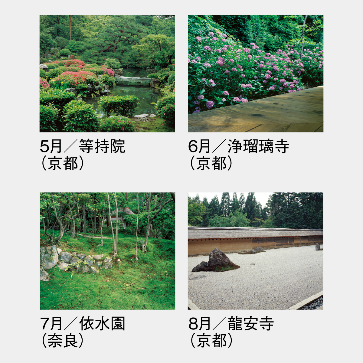 SG-457 庭・四季詩情(大)