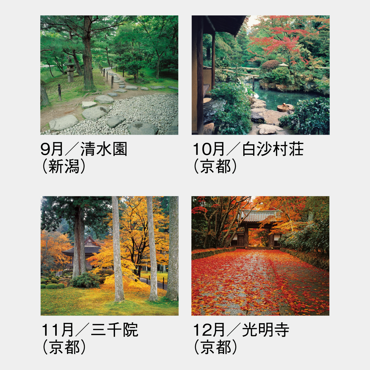 SG-457 庭・四季詩情(大)