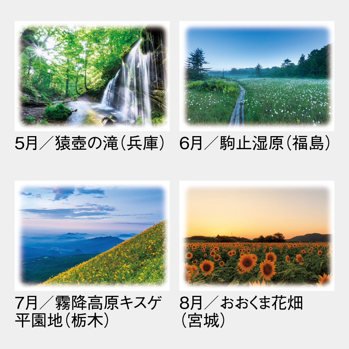 SG-460 詩情･四季メモリー