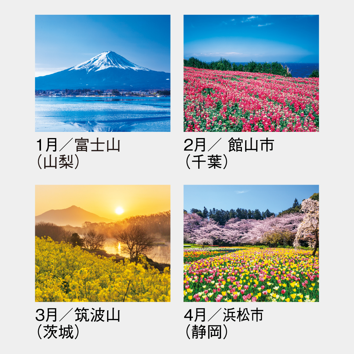 SG-461 日本の景勝