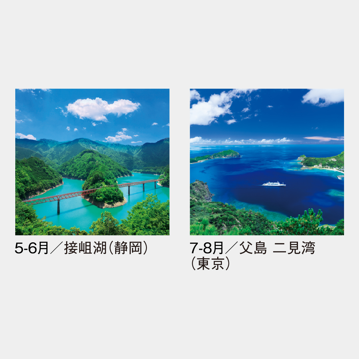 SG-501 【フィルム】ワイドニッポン2026年版の名入れカレンダー