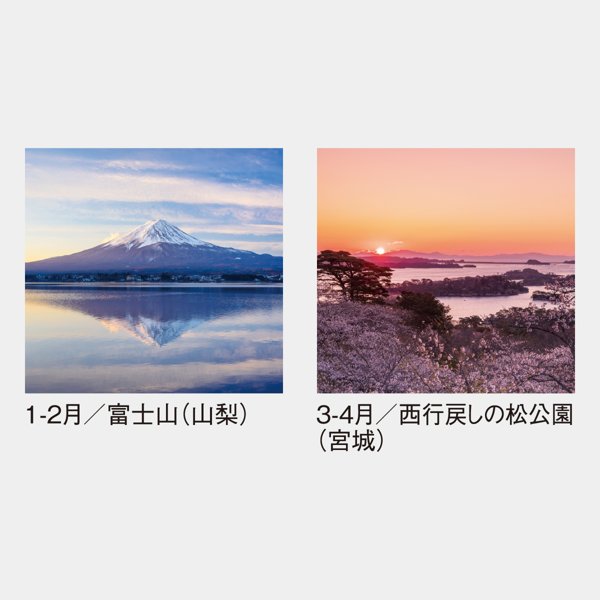 SG-502 【フィルム】四季光耀