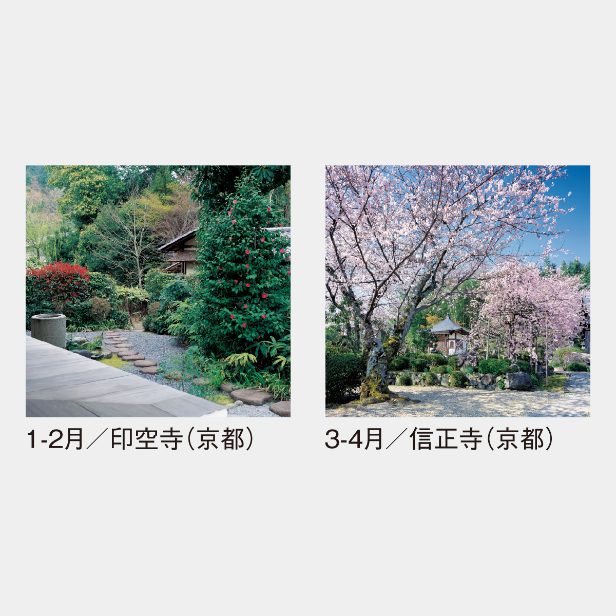 SG-503 【フィルム】名苑