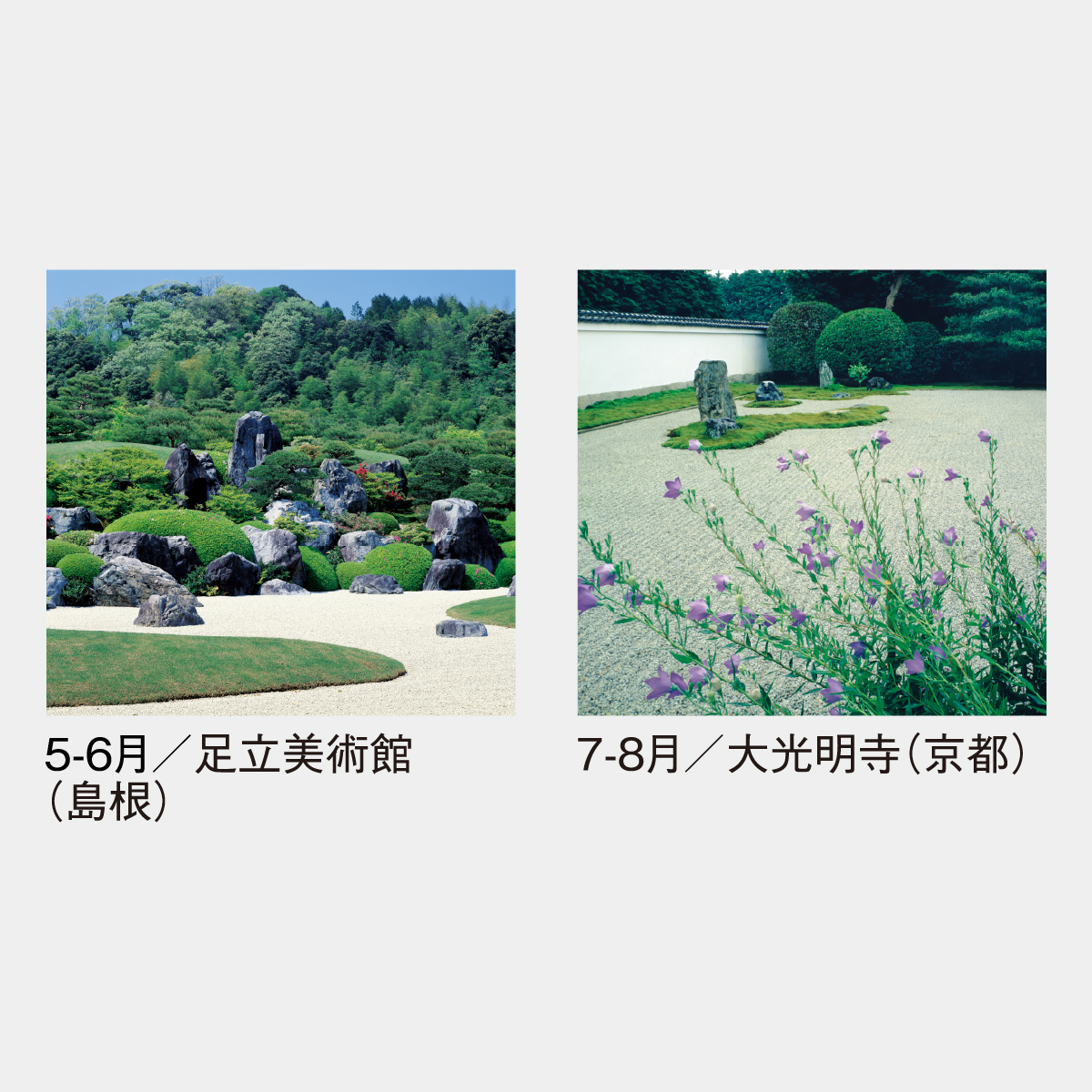 SG-503 【フィルム】名苑2026年版の名入れカレンダーを格安で