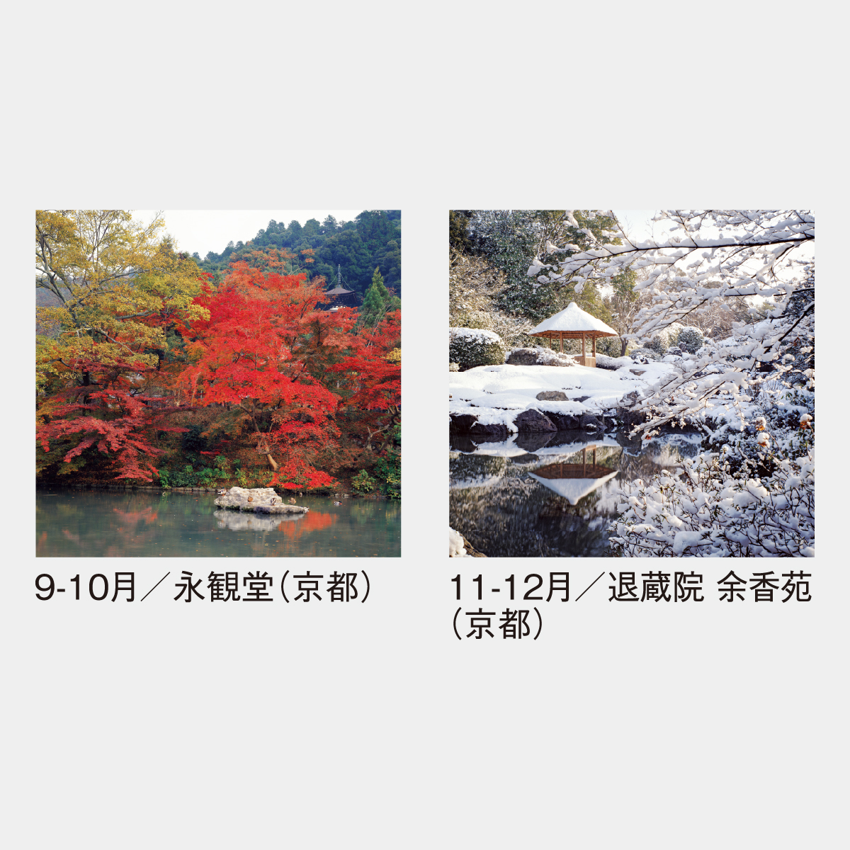 SG-503 【フィルム】名苑