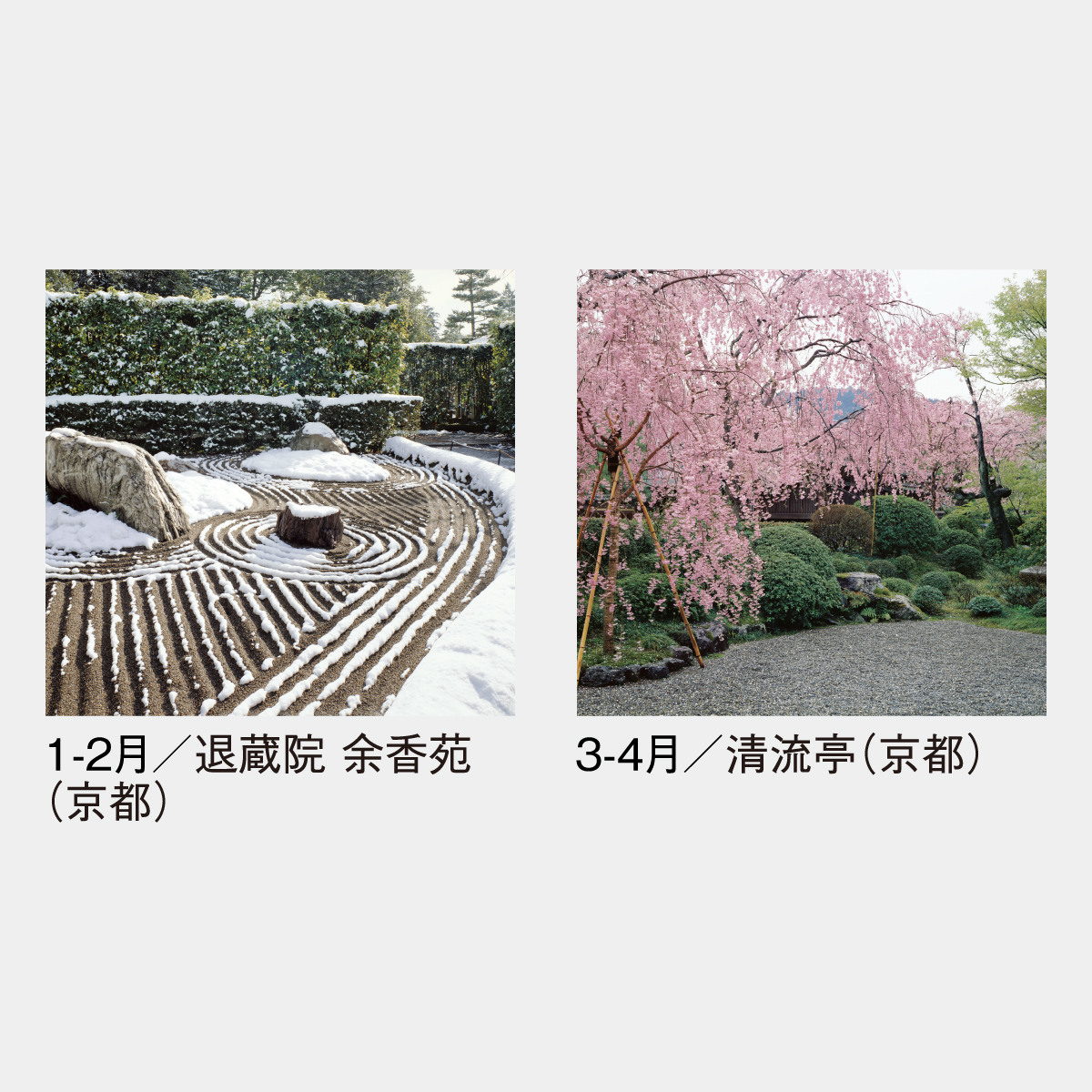 SG-505 【フィルム】庭･四季詩情