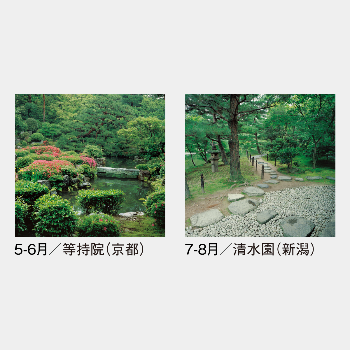 SG-505 【フィルム】庭･四季詩情