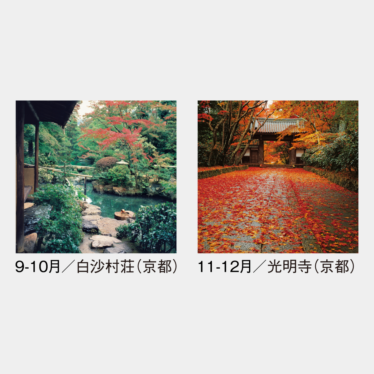 SG-505 【フィルム】庭･四季詩情