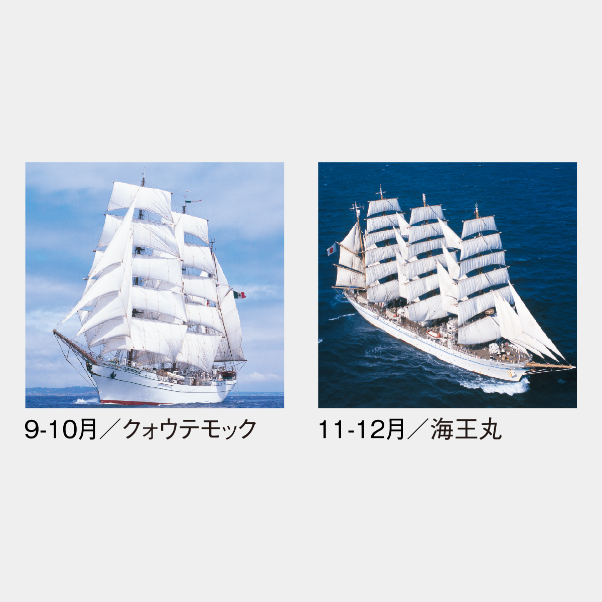 ☆ agnes.bトリプルカレンダー世界地図☆海外版レア☆美品