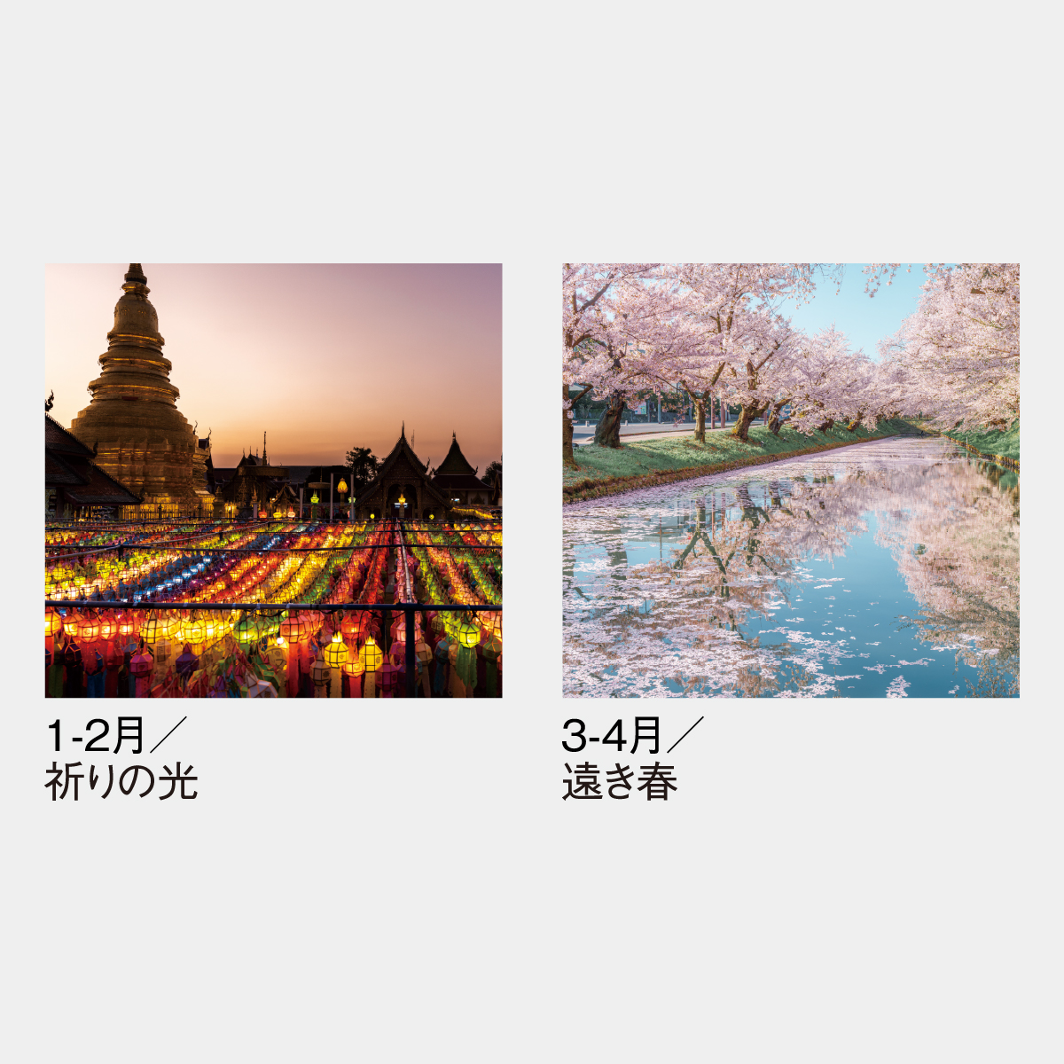 SG-519 【フィルム】風光る　別所隆弘作品集