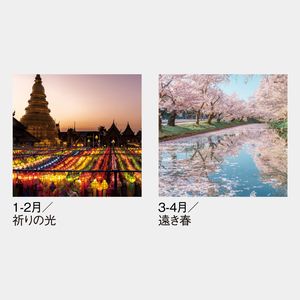 SG-519 【フィルム】風光る　別所隆弘作品集