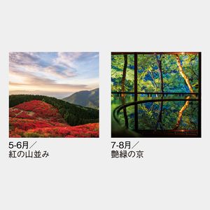 SG-519 【フィルム】風光る　別所隆弘作品集