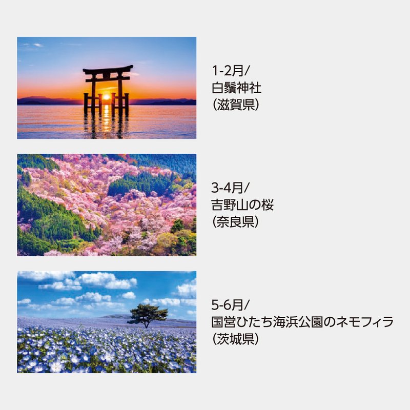 SK-20 四季彩景