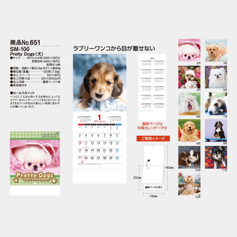 SM-100S Pretty Dogs