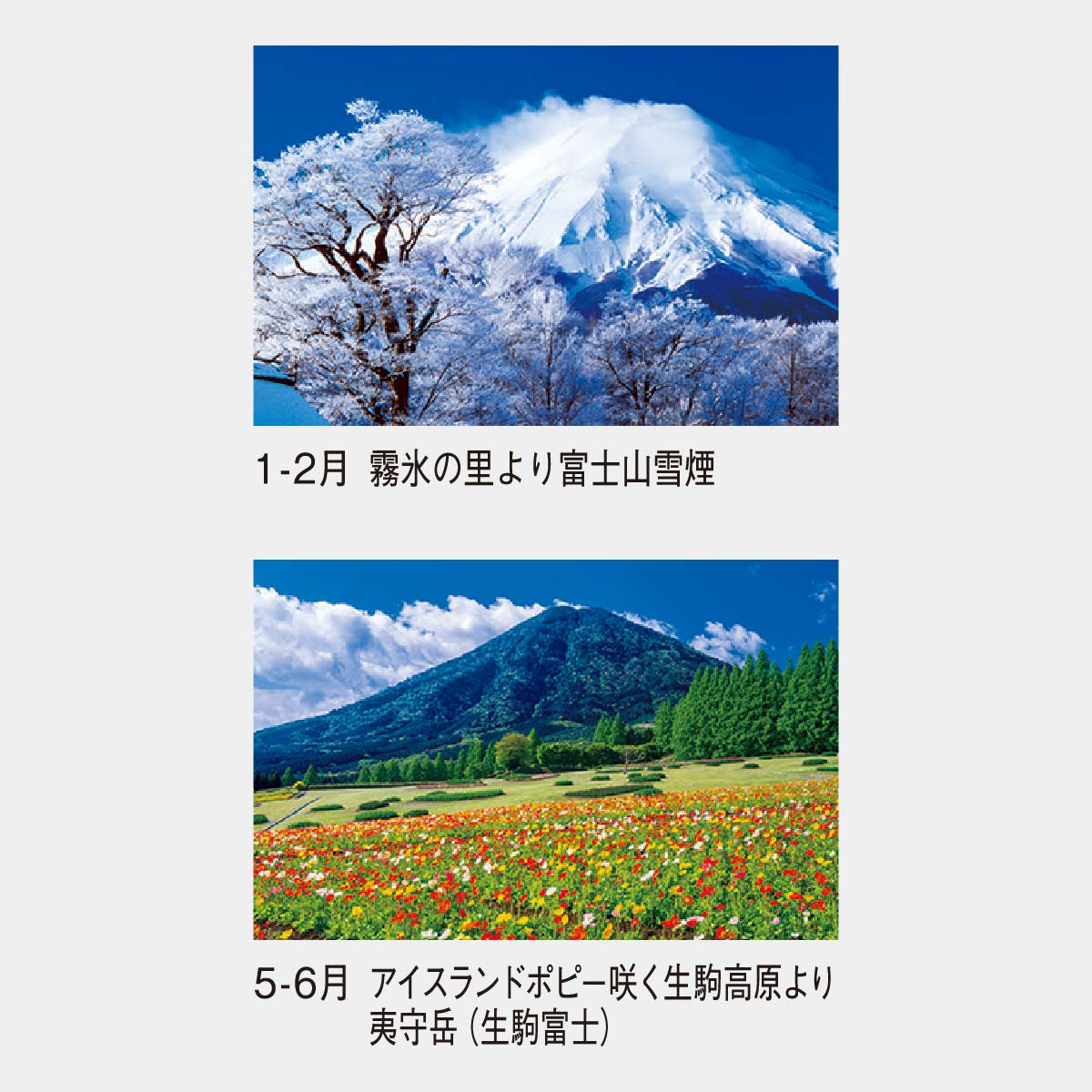 SP-11 山の四季2026年版の名入れカレンダーを格安で販売 - 名