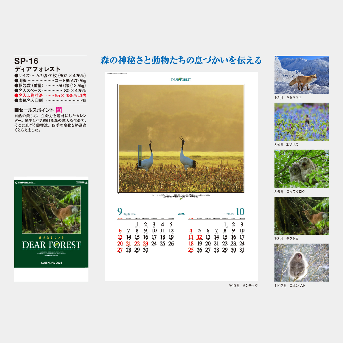 SP-16 ディアフォレスト