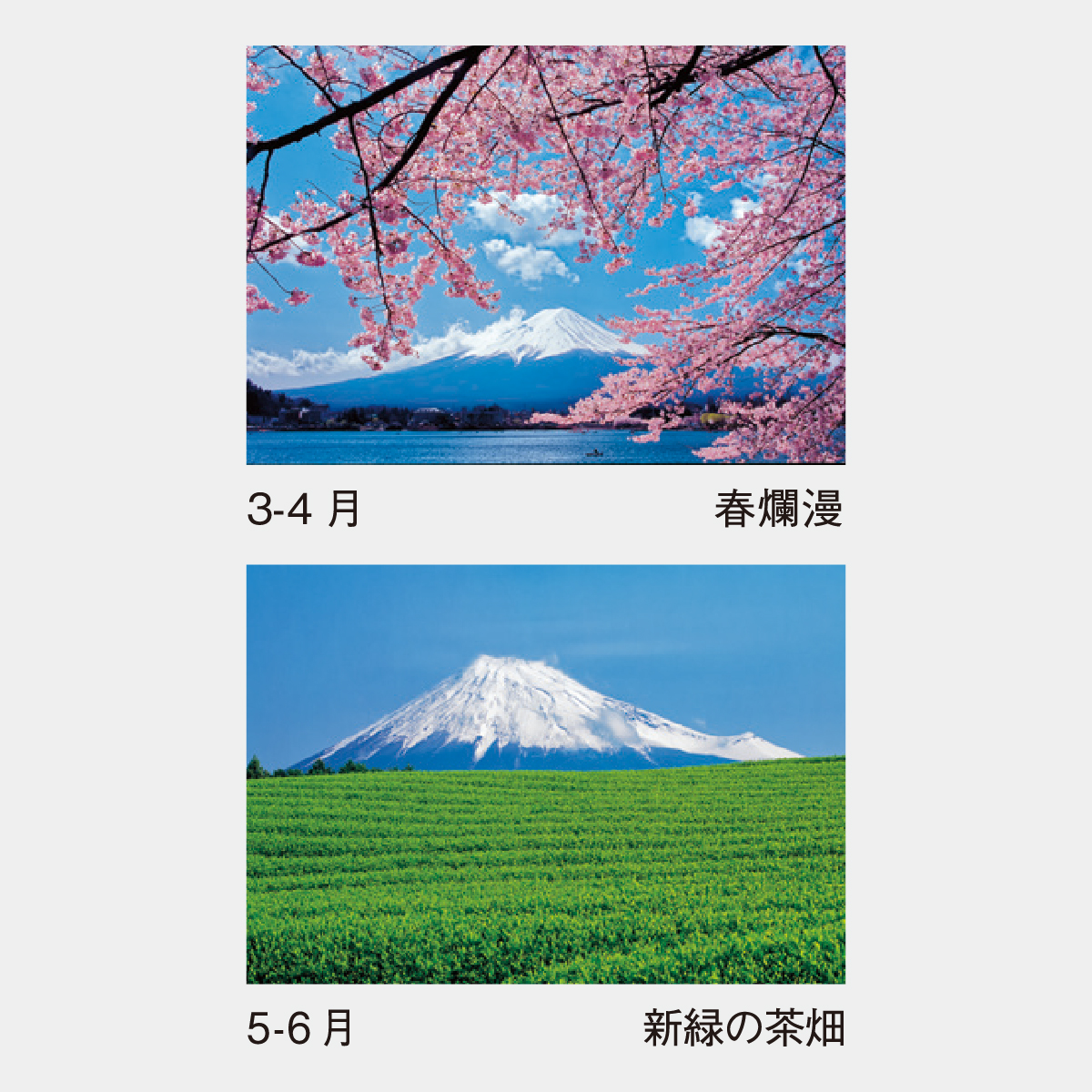 SP-18 富士の四季2026年版の名入れカレンダーを格安で販売 - 名