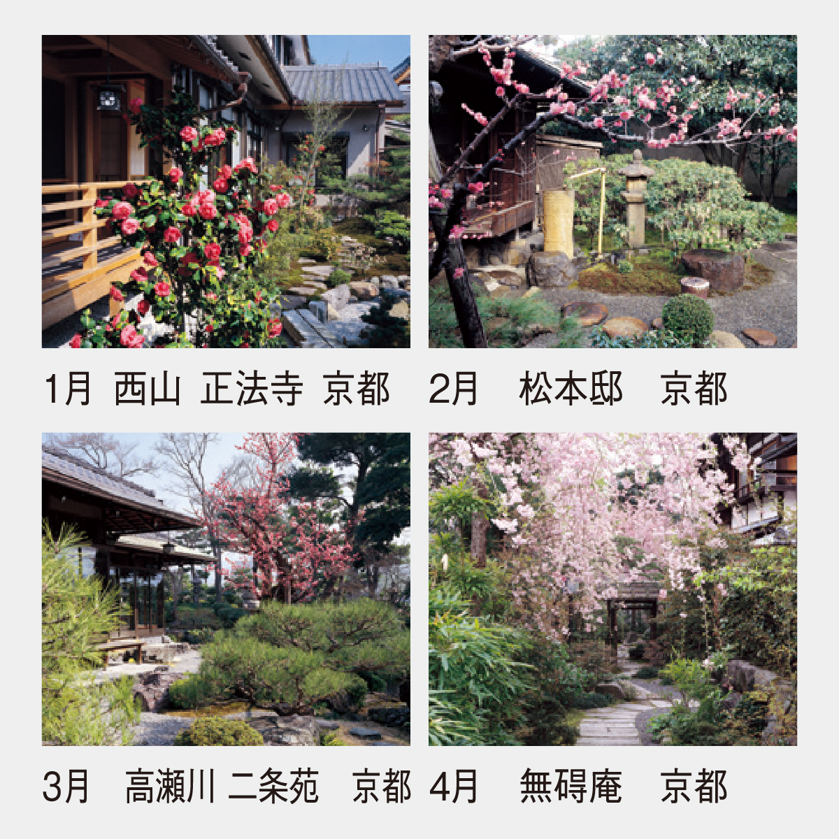 SP-20 たたずまい