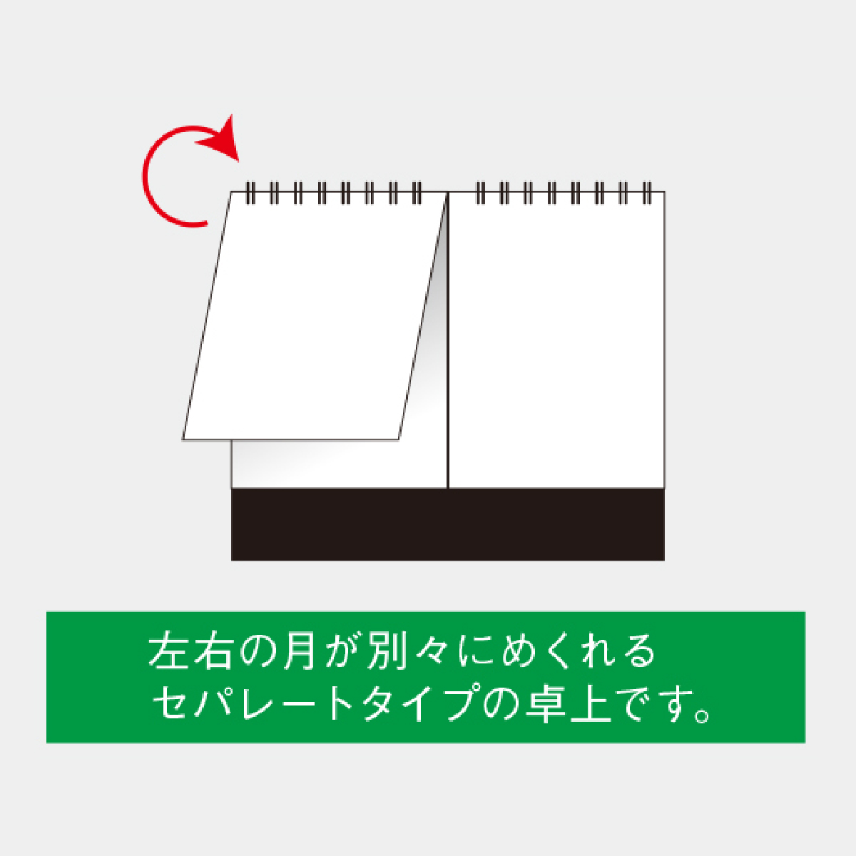 SP-310 笠原碧花作品集カレンダー