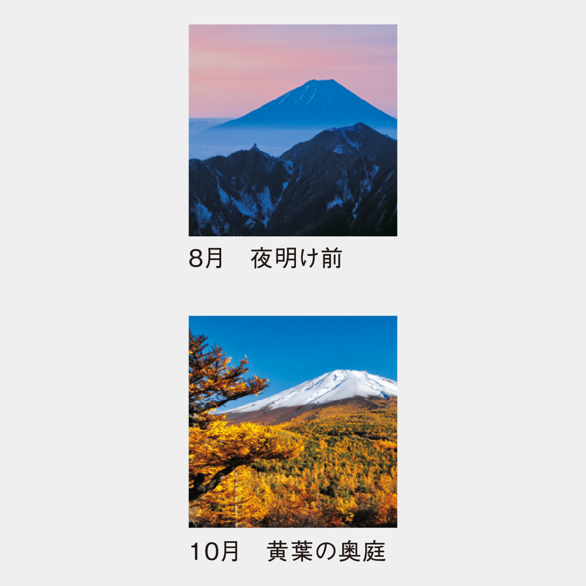 SP-334 富士の四季