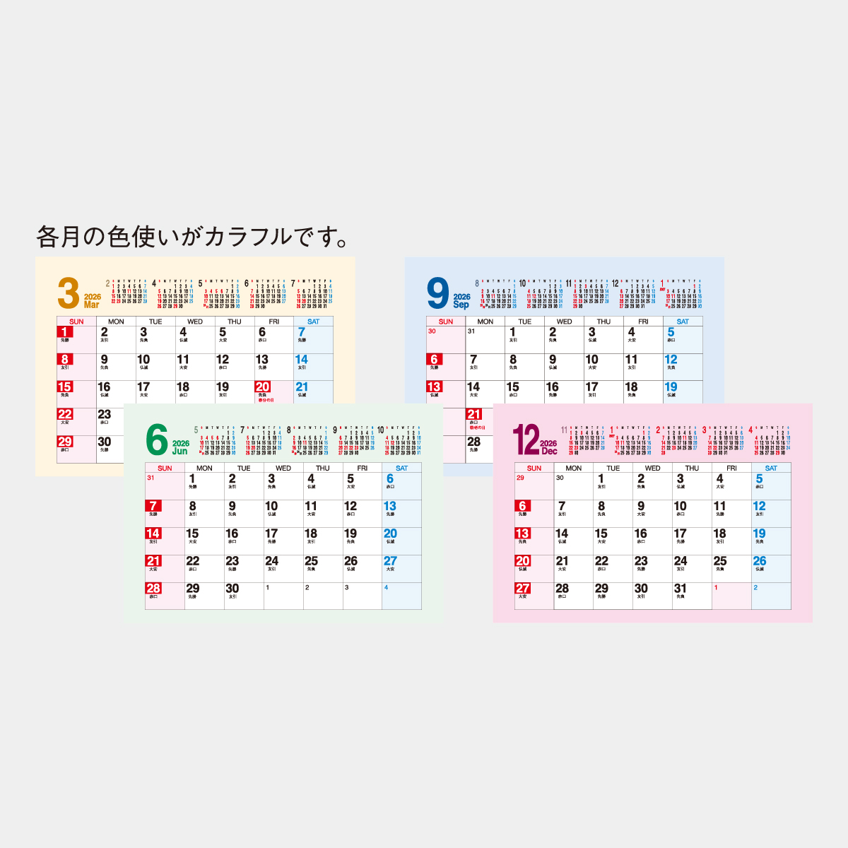 SP-407 カラー・メモジュール・プラス