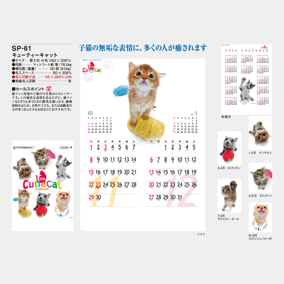 SP-61 キューティーキャット