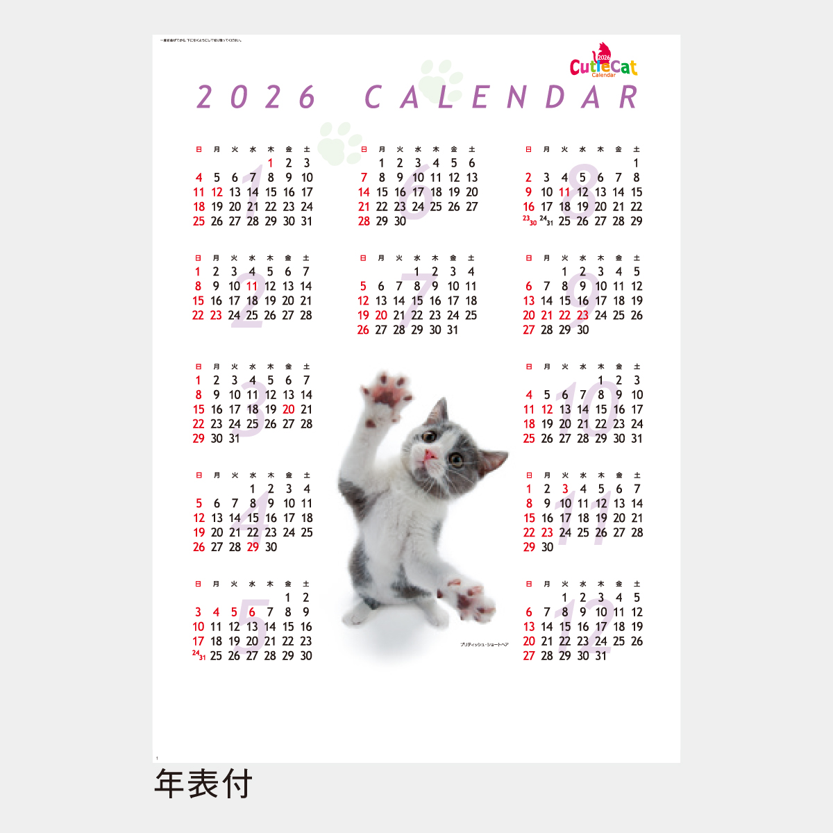 SP-61 キューティーキャット