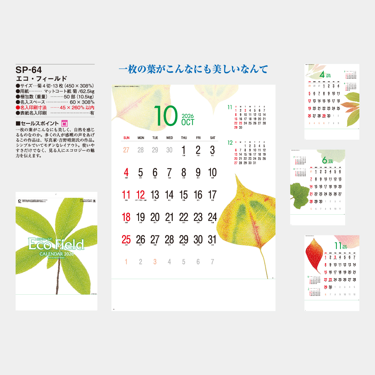 SP-64 エコ・フィールド