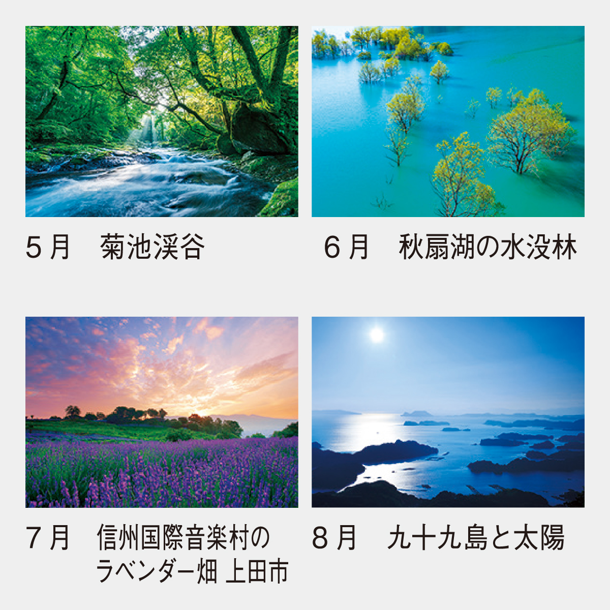 Rionカレンダー2017 梱包済み Rionカレンダー2017 梱包済み Rionカレンダー2017 梱包済み