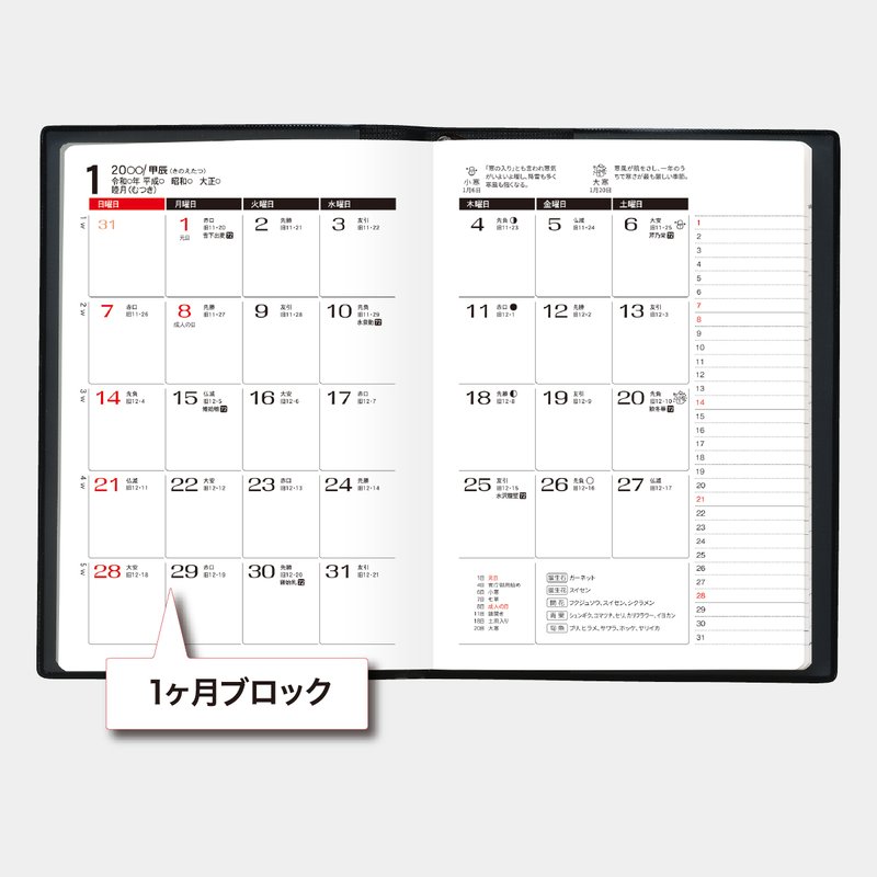 TD-121 ダイアリ― A6・1週間