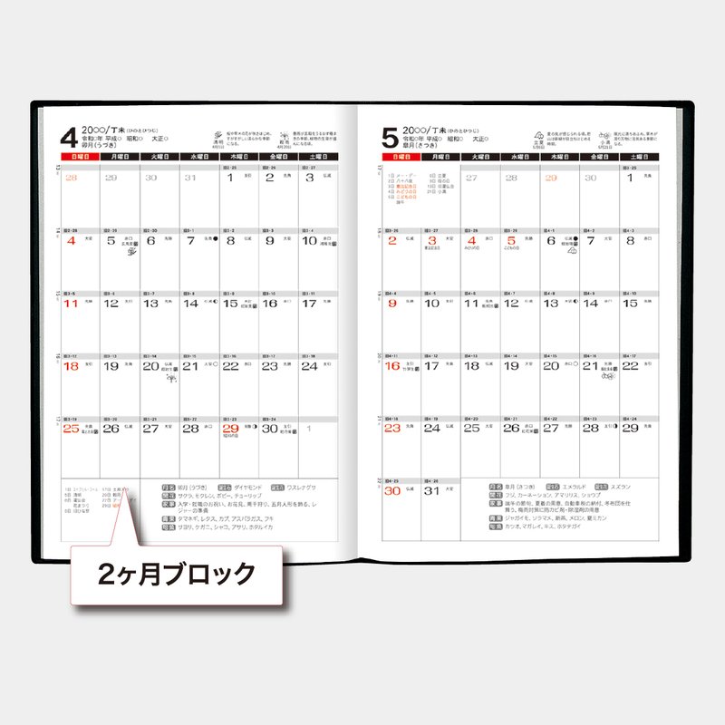TD-167 ダイアリ― B5・1週間