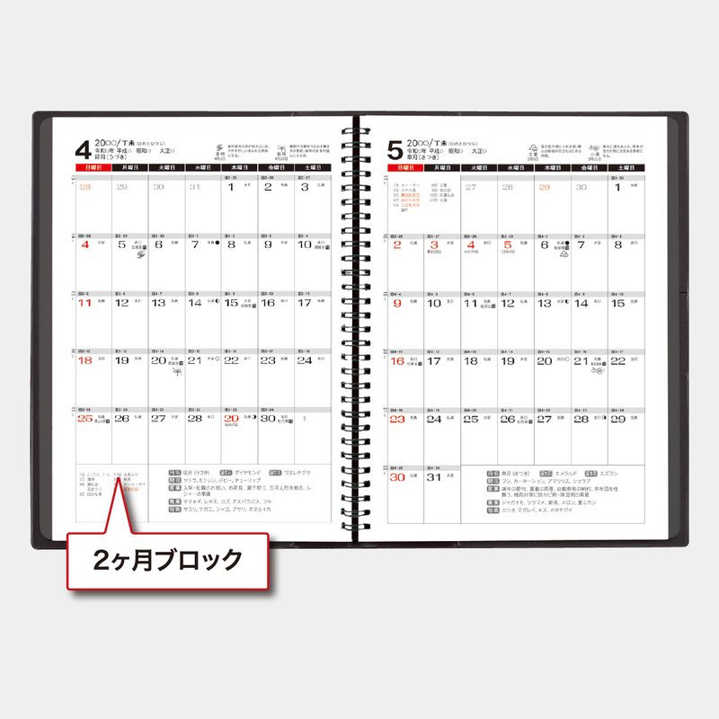TD-170 ダイアリー B5・2週間・リング