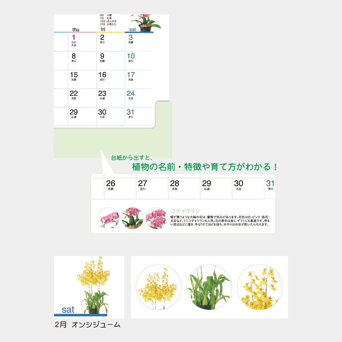 TD-238 卓上　オールペーパー･緑のくらし