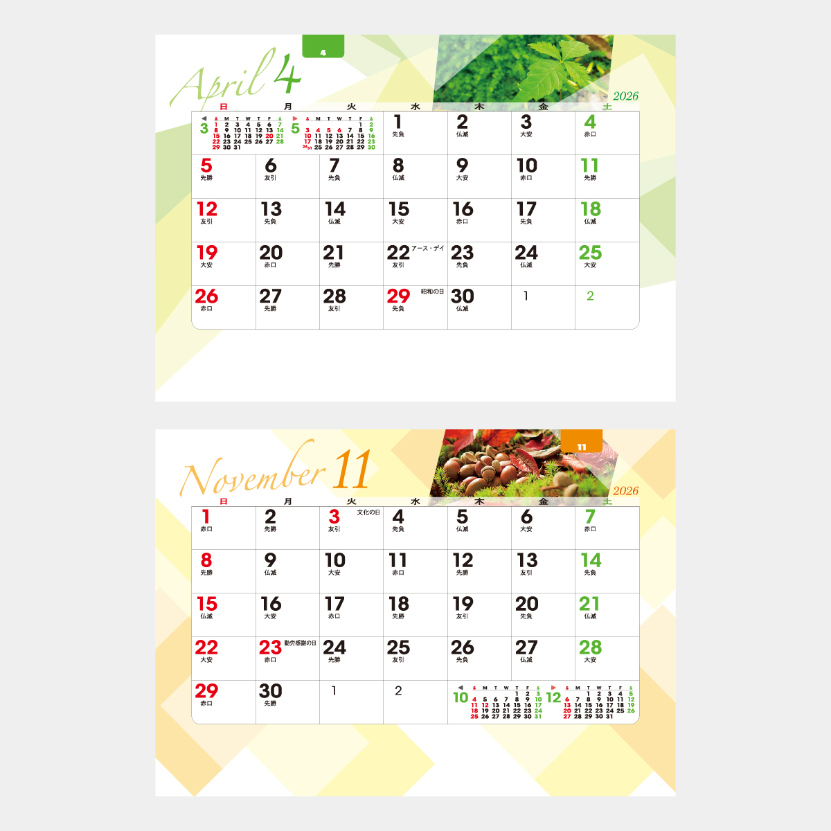 TD-239 卓上　オールペーパー･森のかがやき