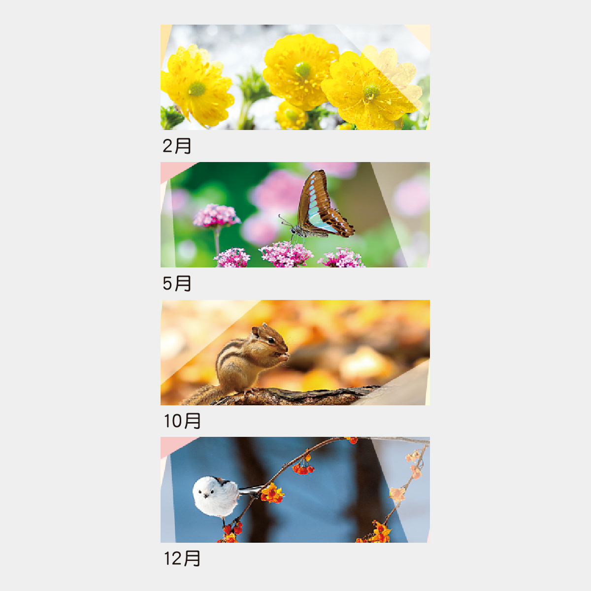 TD-239 卓上　オールペーパー･森のかがやき