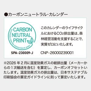 TD-239 卓上　オールペーパー･森のかがやき