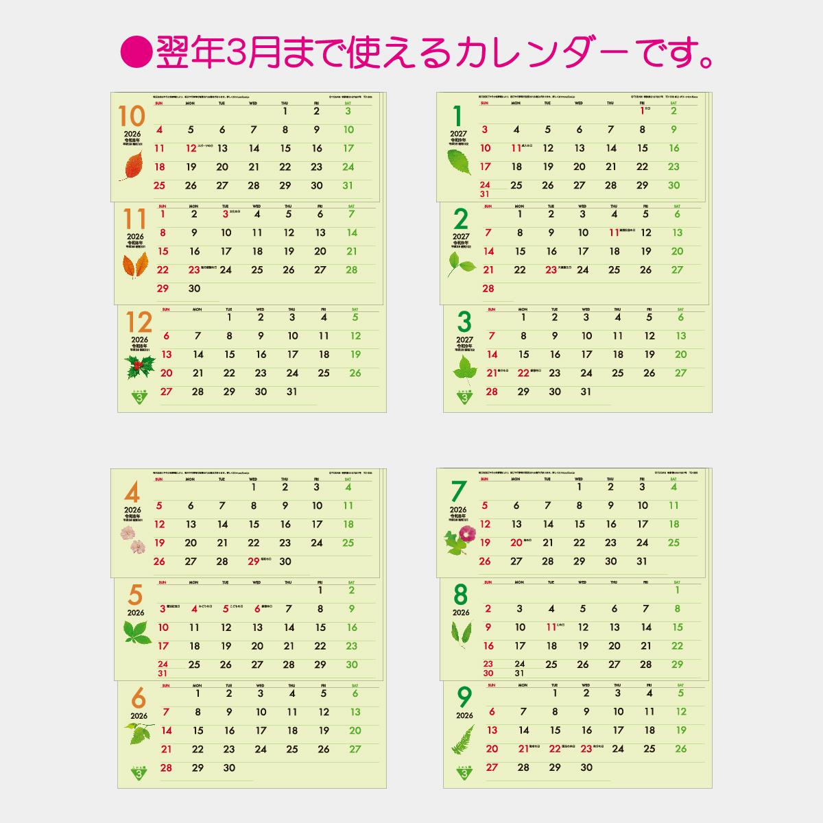 TD-335 卓上・グリーン3ヶ月eco-上から順タイプ-