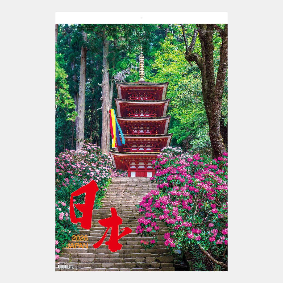 TD-501 【フィルム】日本