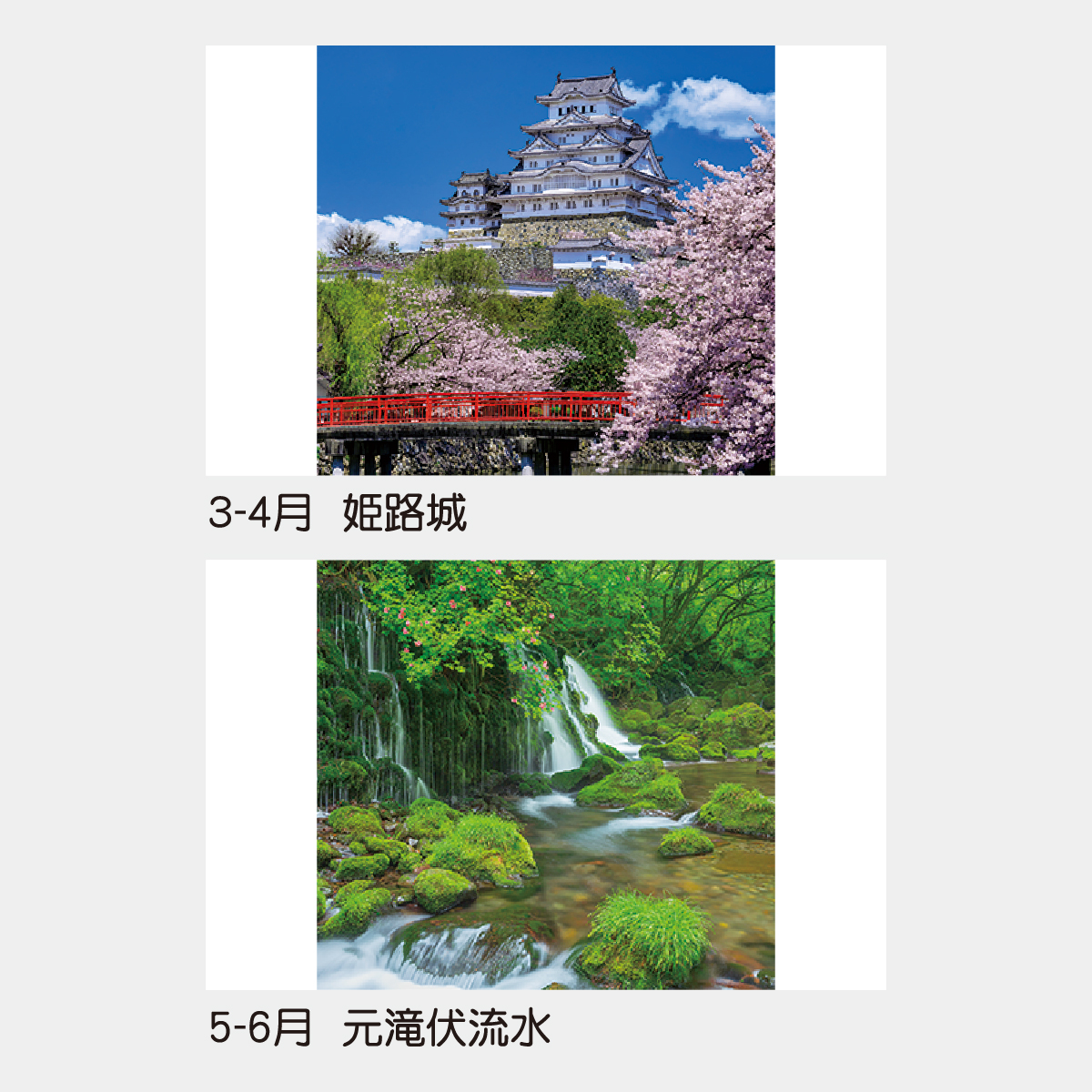 TD-501 【フィルム】日本