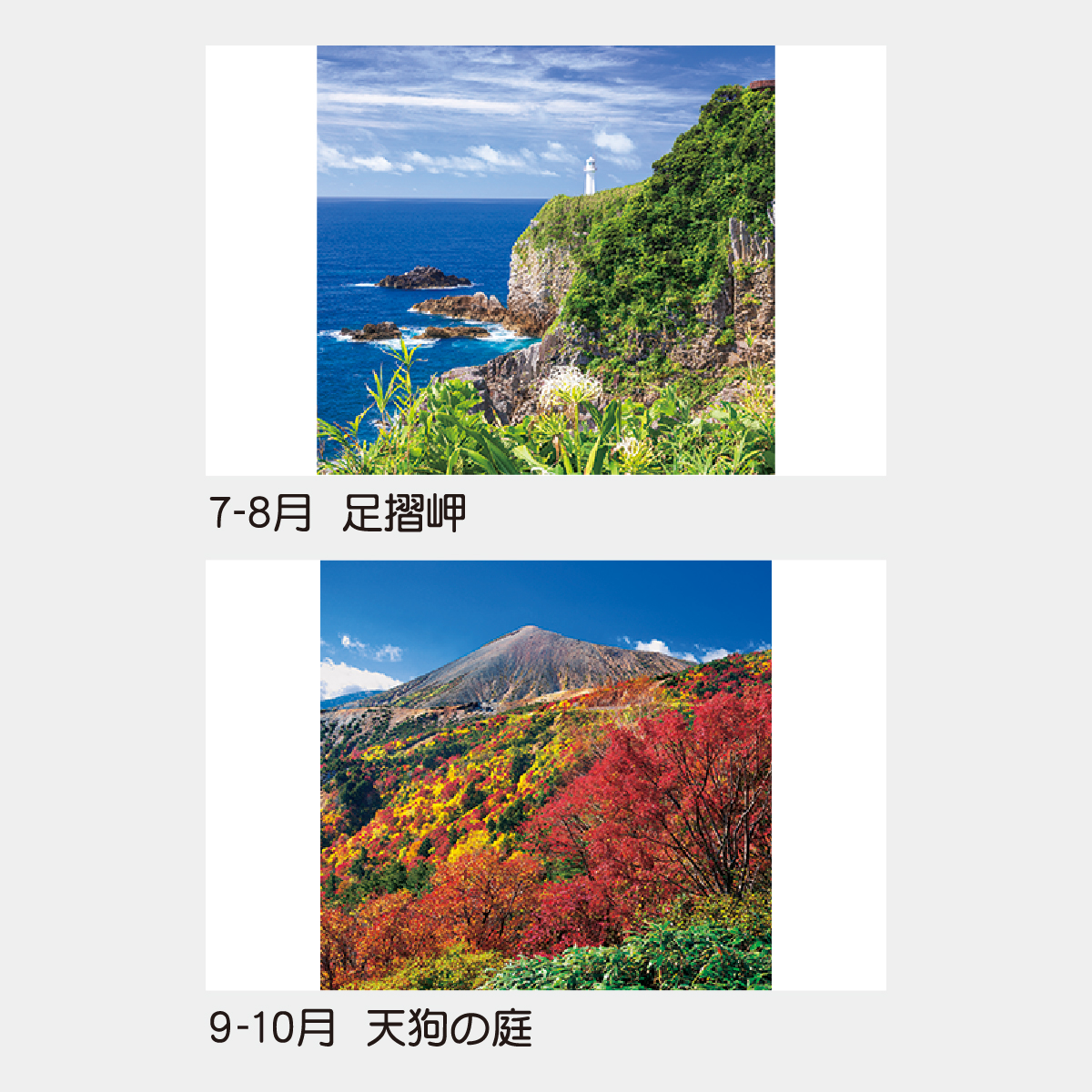 TD-501 【フィルム】日本