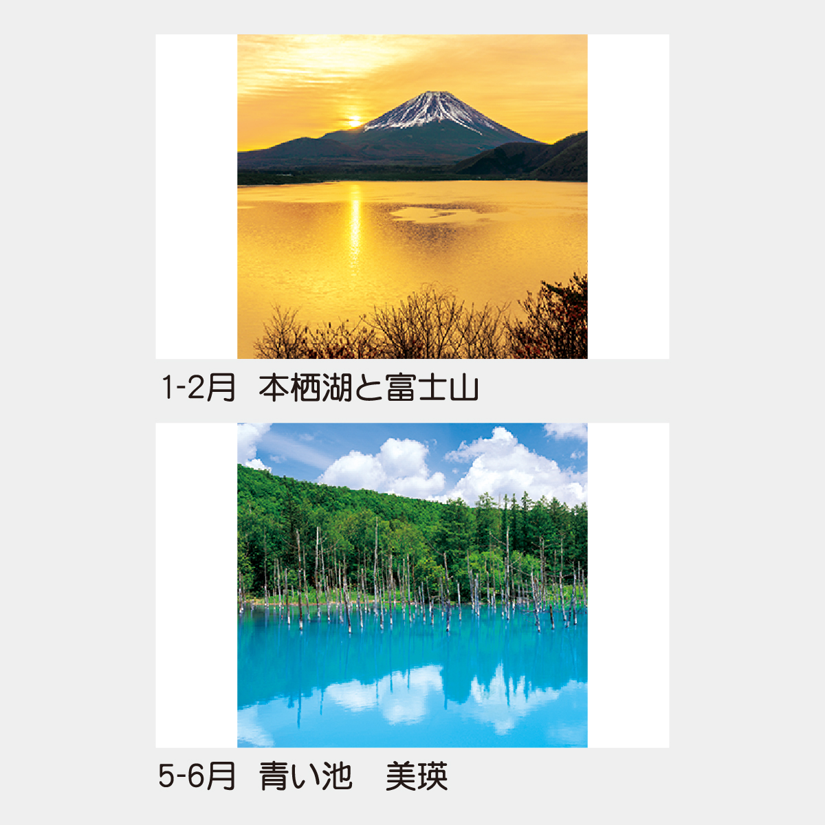 TD-502 【フィルム】日本の情景