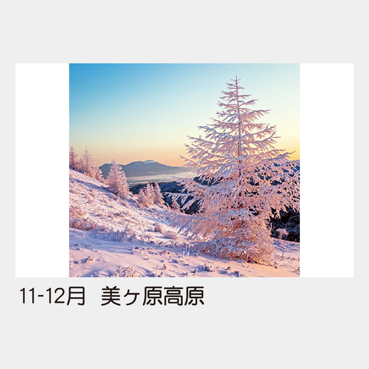 TD-502 【フィルム】日本の情景