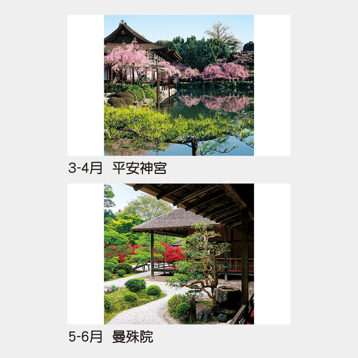 TD-510 【フィルム】庭