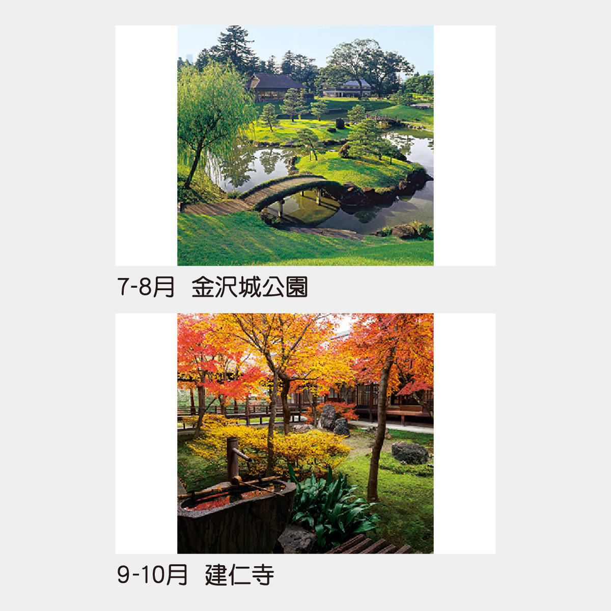 TD-510 【フィルム】庭