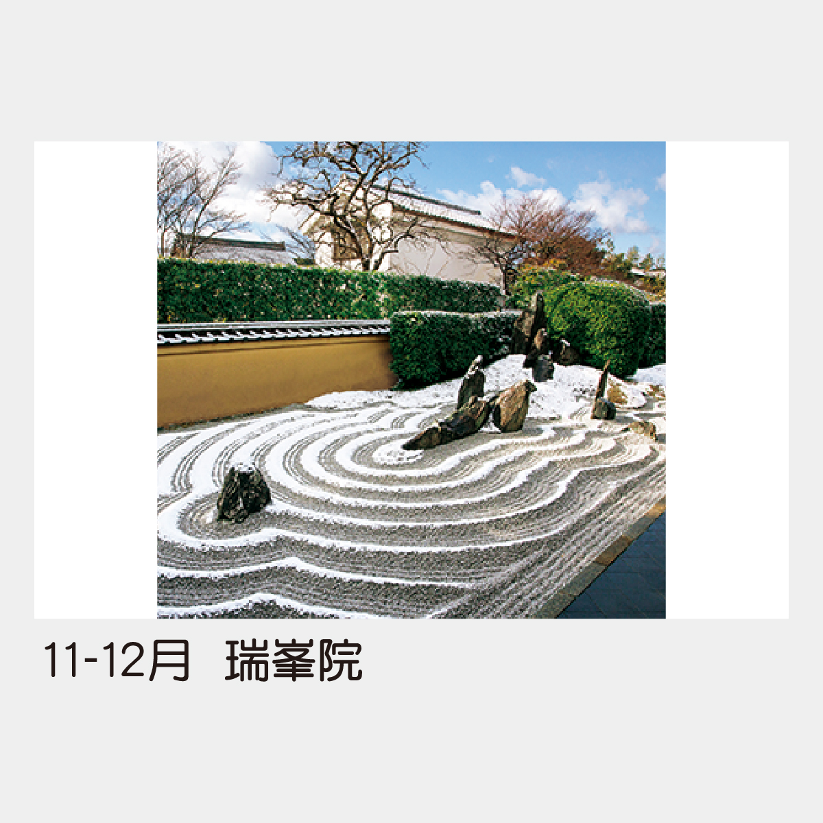 TD-510 【フィルム】庭